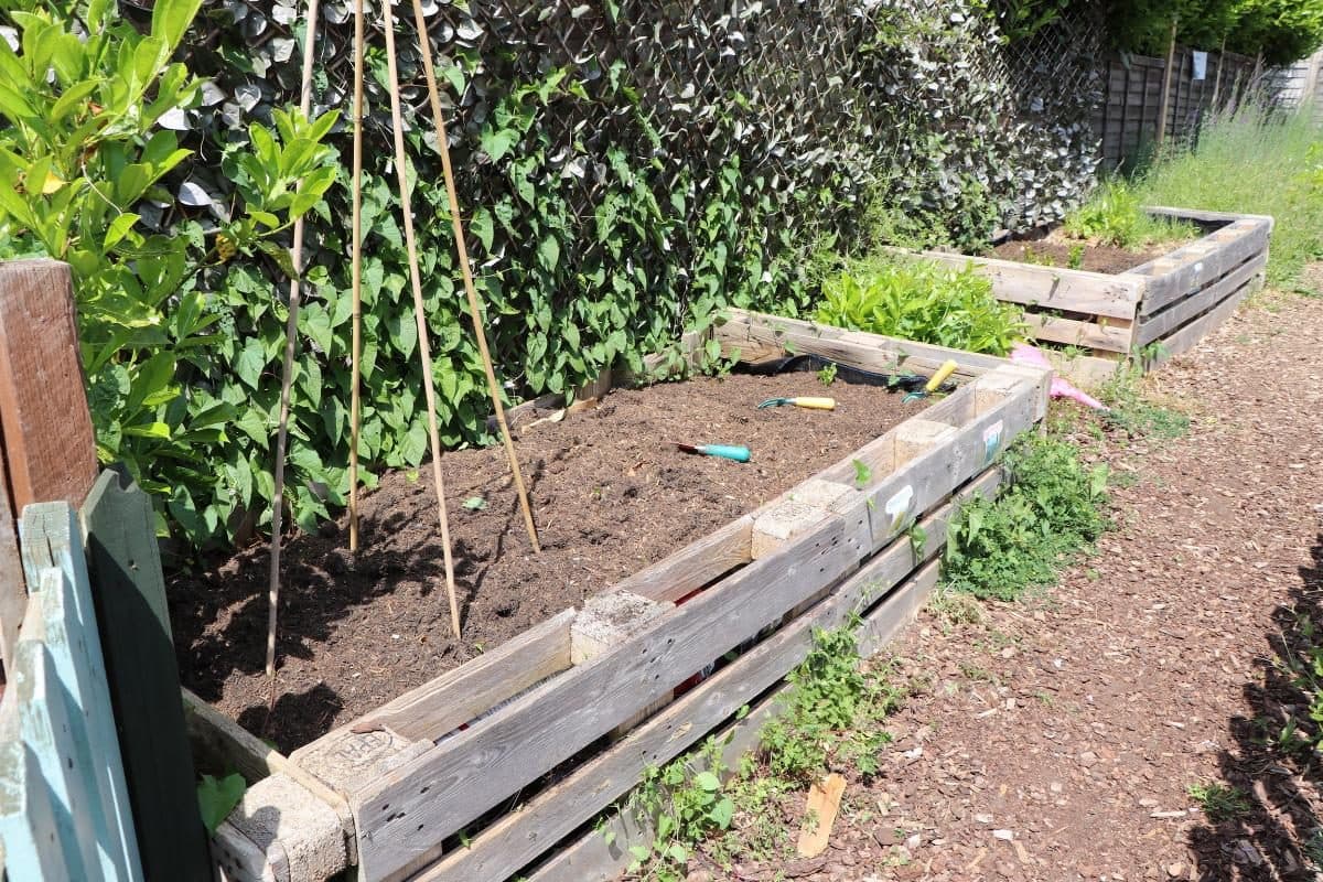 Raised bed vegetable garden at The House That Jack Built Hazlemere